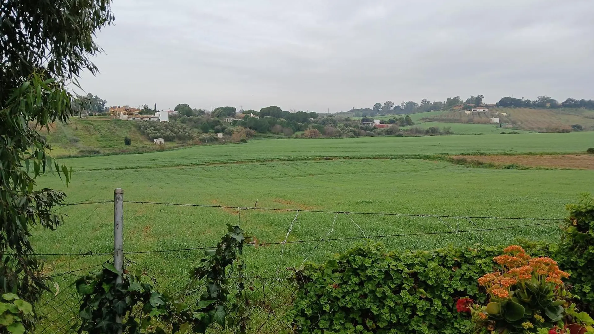 La Guindilla Guest House Gibraleon Spain