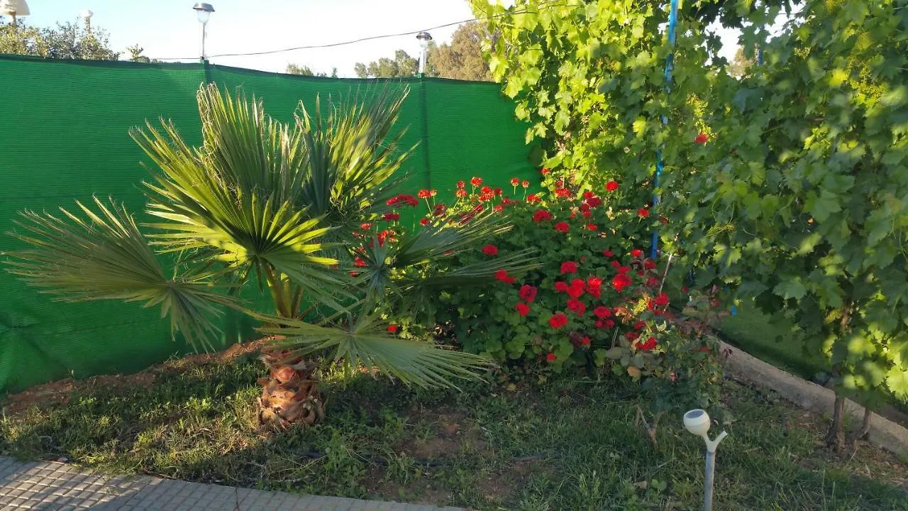 La Guindilla Guest House Gibraleon